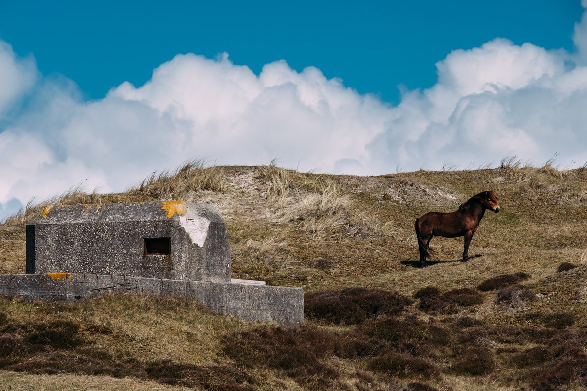 Photo by Rutger Heijmerikx